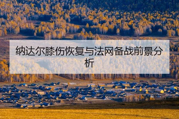 na-da-er-xi-shang-hui-fu-yu-fa-wang-bei-zhan-qian-jing-fen-xi-2-777.jpg